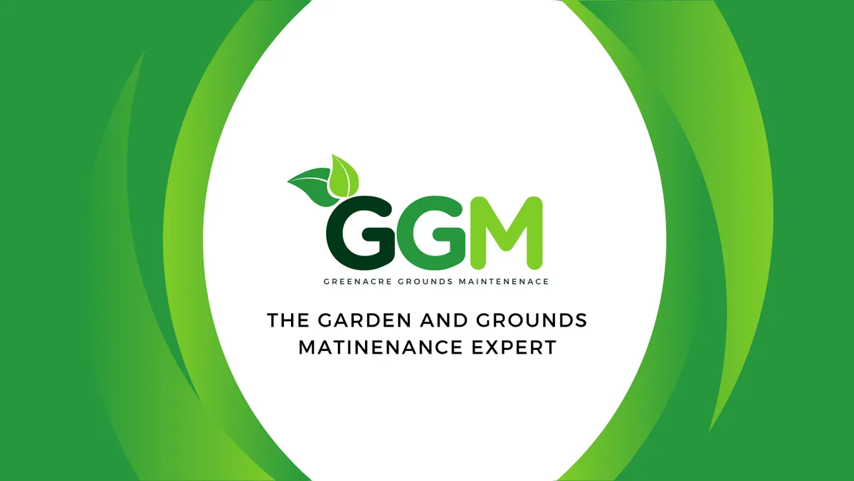 Some of our <span>recent work</span>