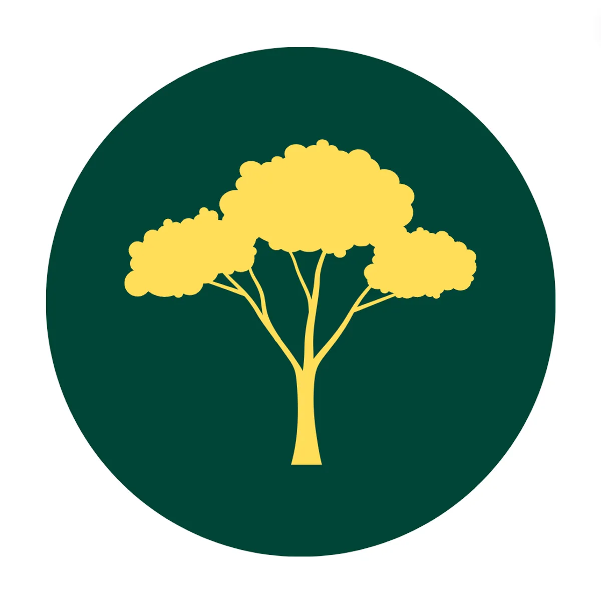 NRG Arborists: <span>Logo, website, hosting & business cards</span>