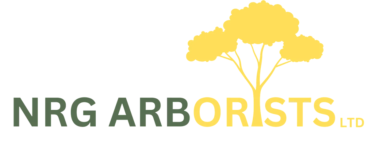 Logo Design <span>gallery</span>