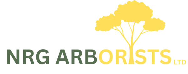 Some of our <span>recent work</span>